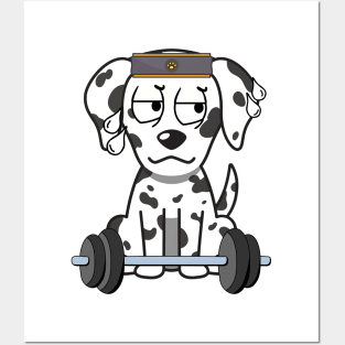 Funny dalmatian is exercising Posters and Art